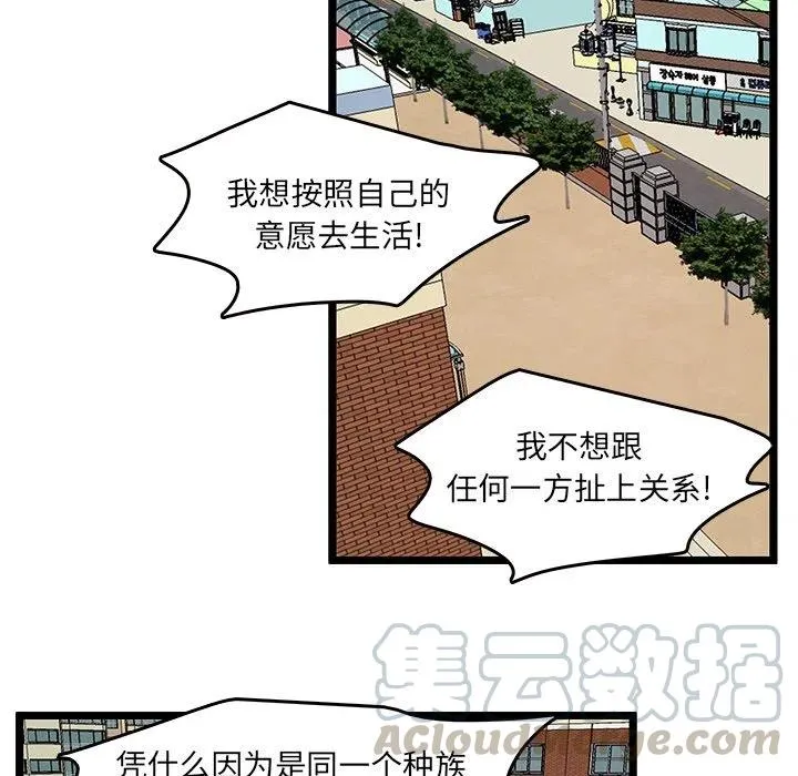 48 第19页