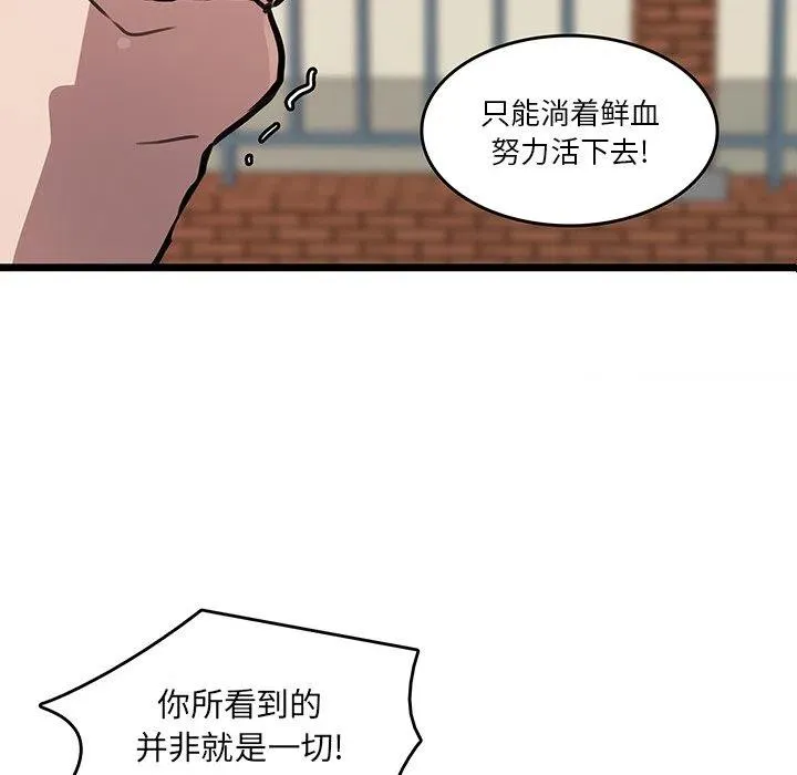 48 第33页