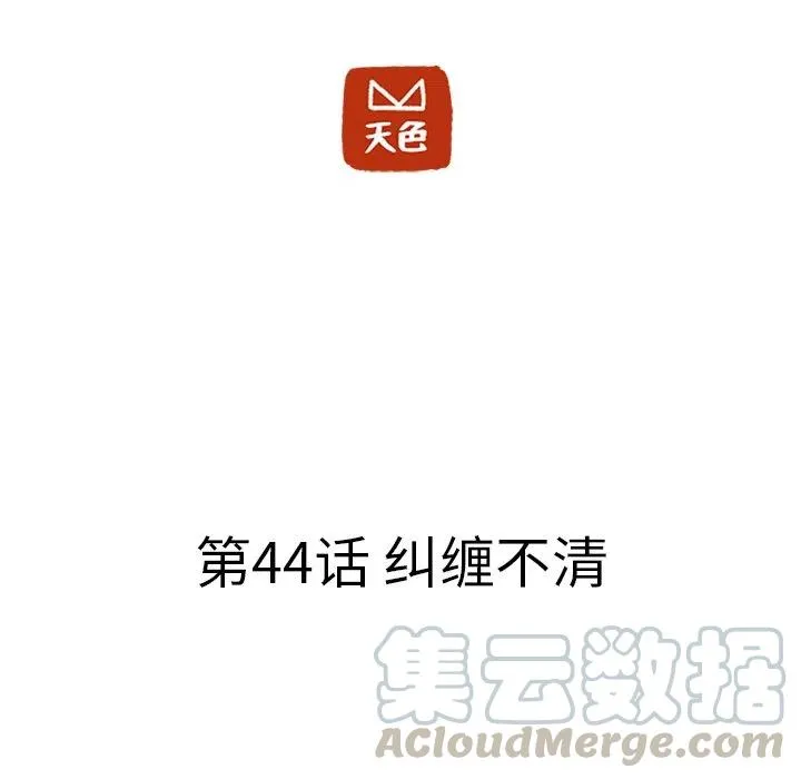 44 第13页