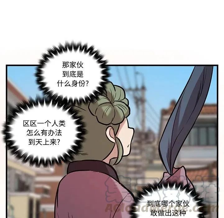 43 第46页