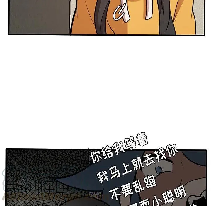 43 第61页