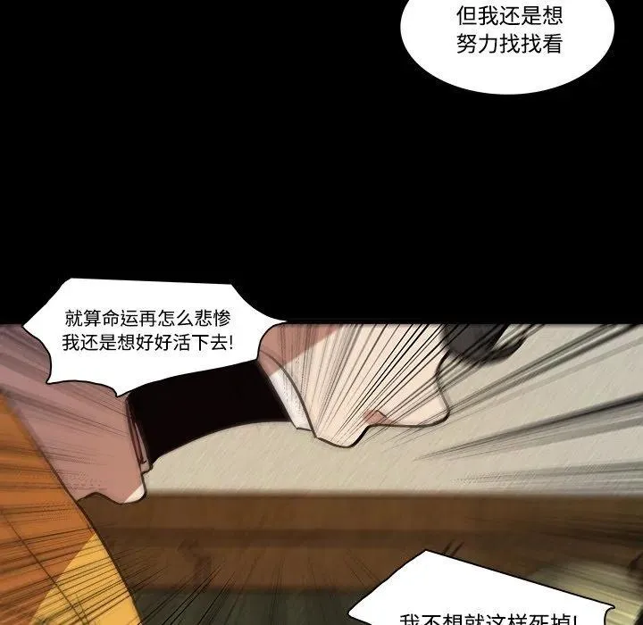 42 第41页