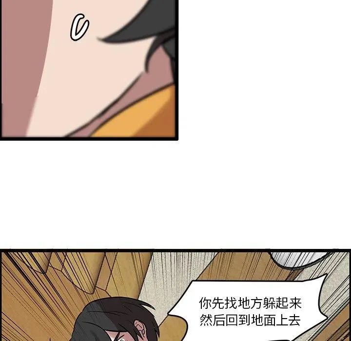 41 第17页