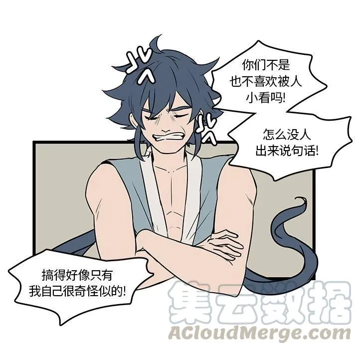 41 第61页