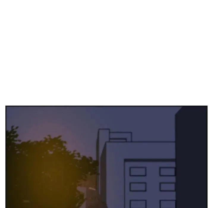 13 第24页