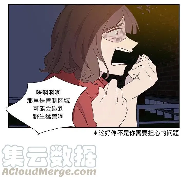 13 第40页
