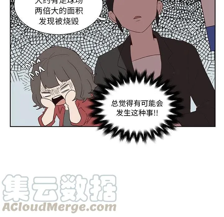 13 第43页