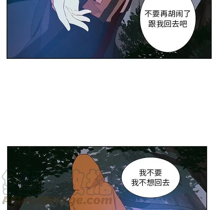 13 第64页