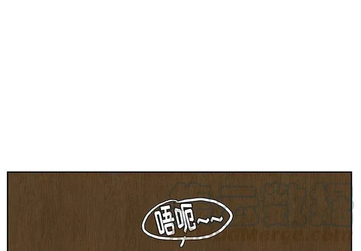 15 第4页