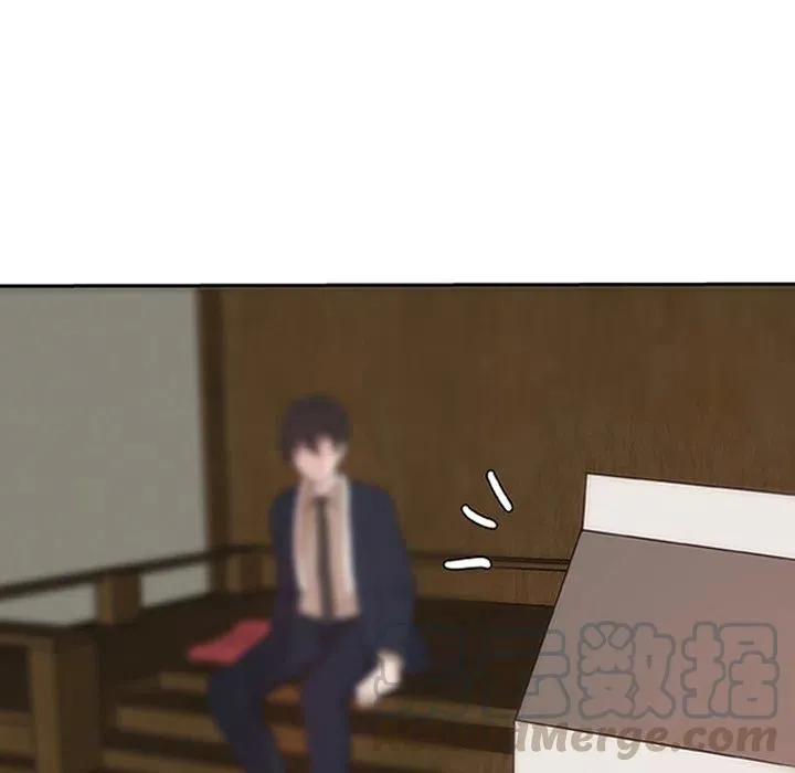 15 第13页