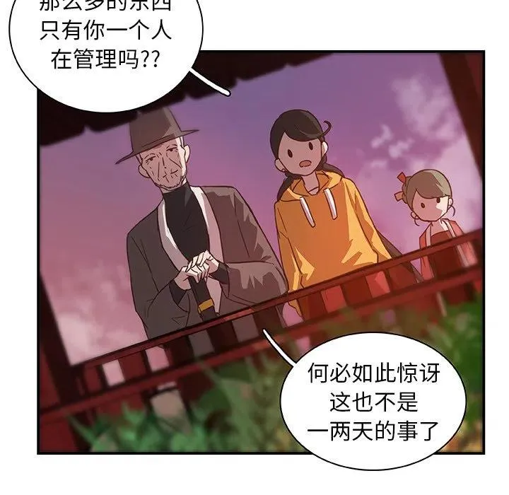 17 第53页
