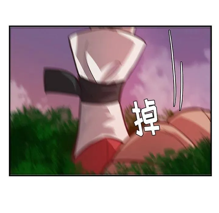 17 第66页