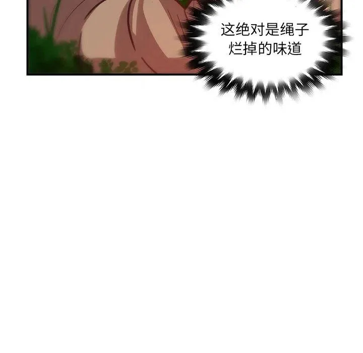17 第74页