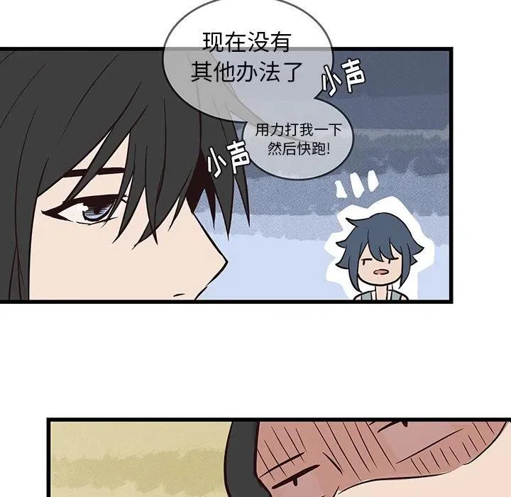 21 第41页