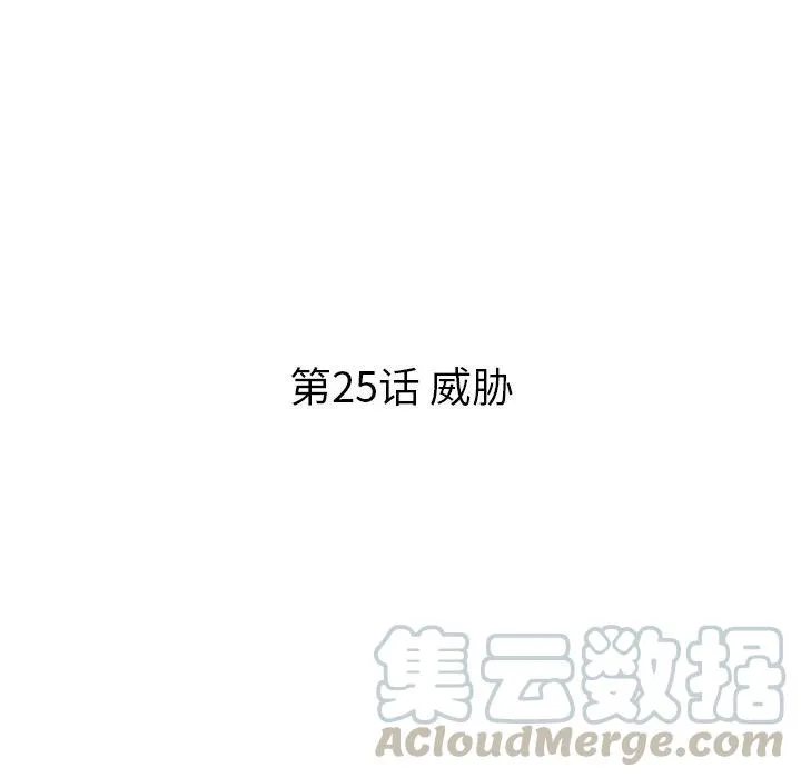 25 第22页