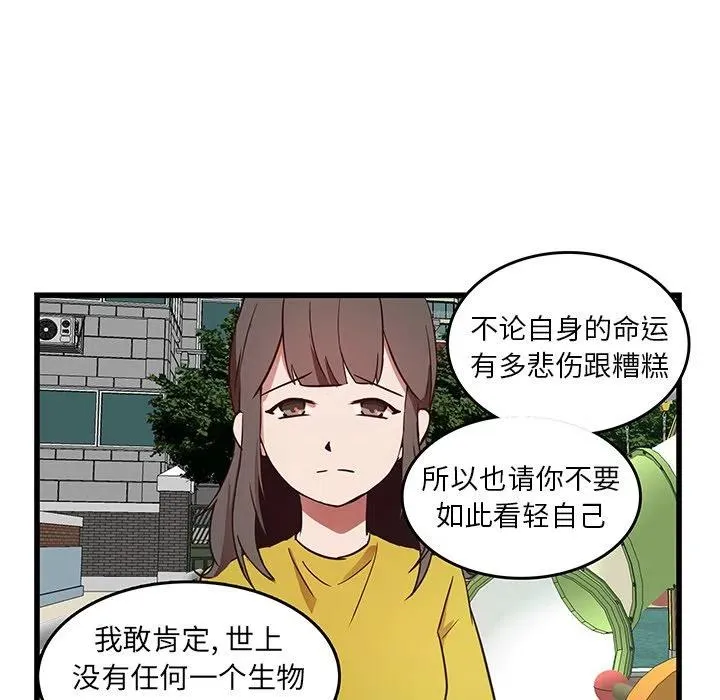 27 第51页