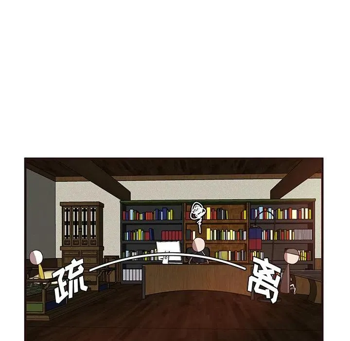 29 第41页