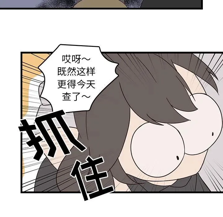 31 第62页