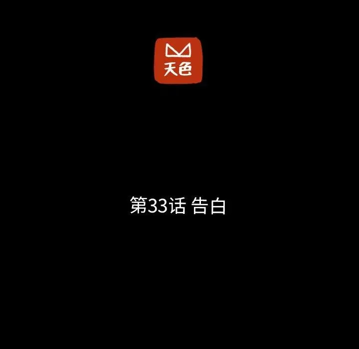 33 第21页