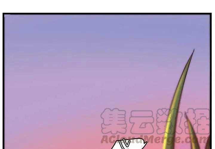 34 第4页