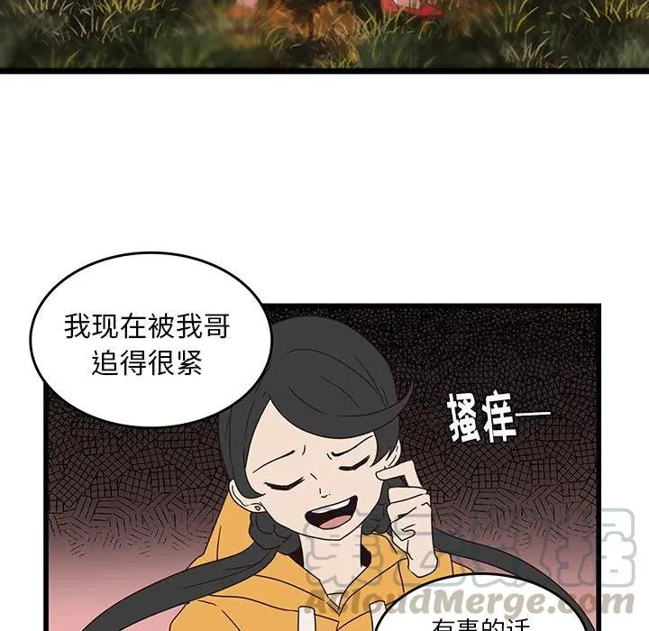 34 第43页