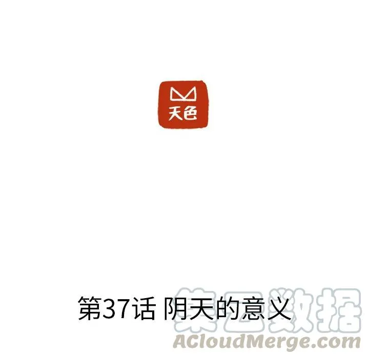 37 第25页