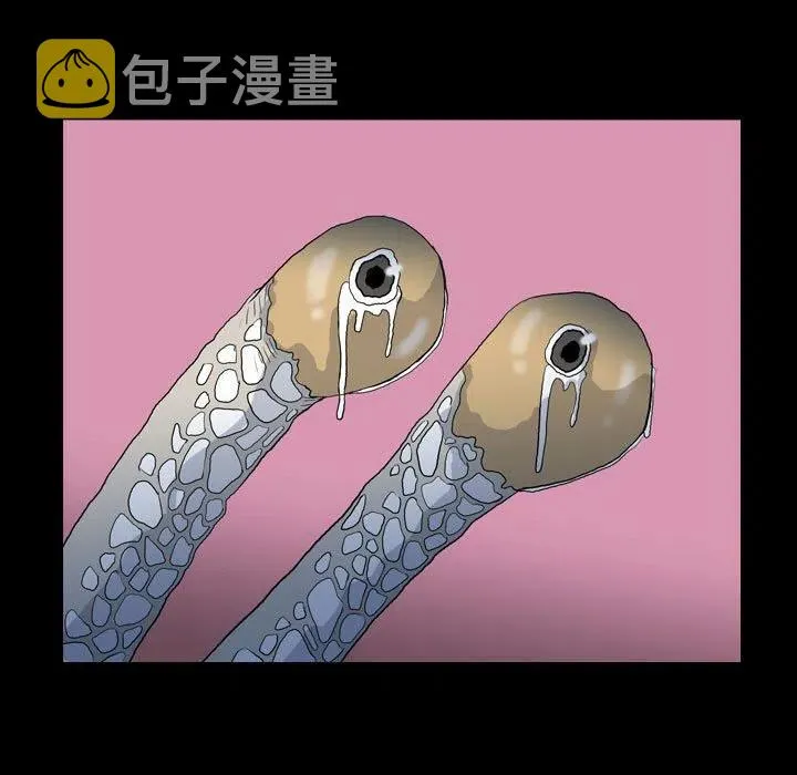 74 第17页