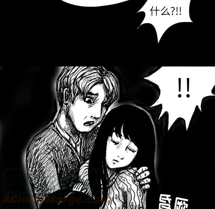 5 第41页