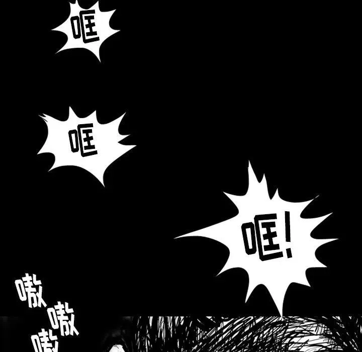 6 第8页