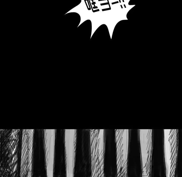 11 第12页