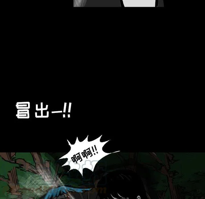 13 第113页