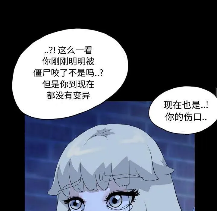 65 第50页