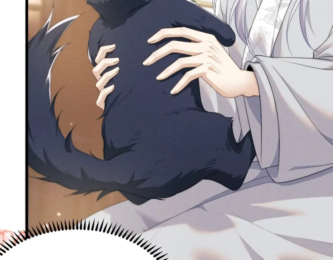 第38话 魔尊为浅浅变猫 第111页
