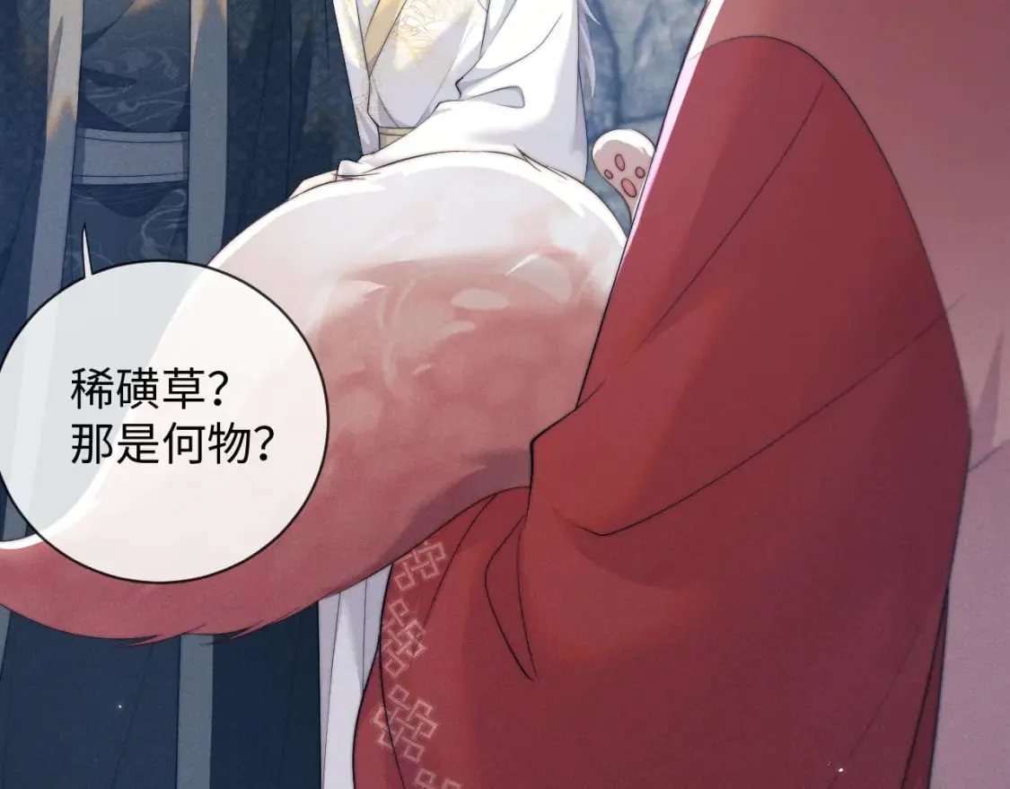 第43话 云浅中毒 第12页