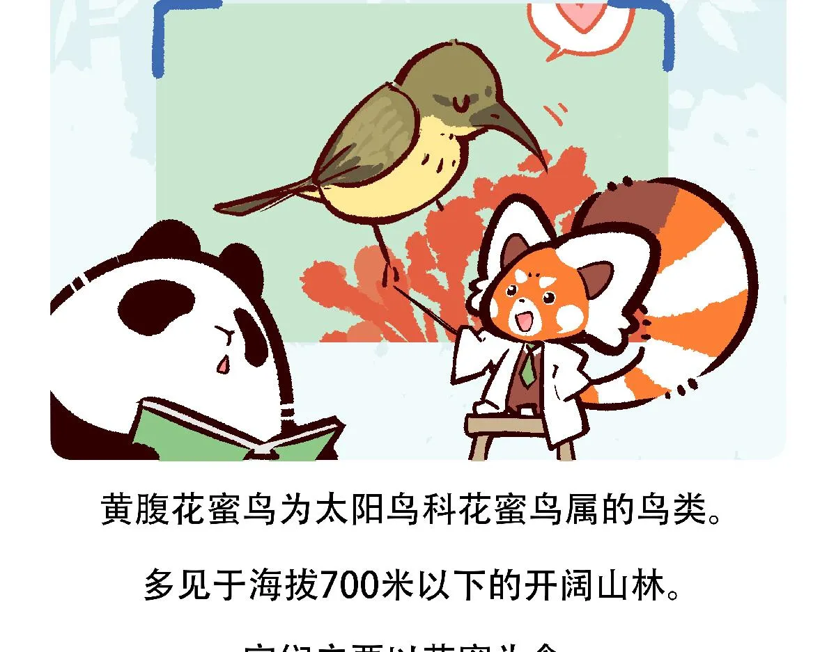 第126话 第27页
