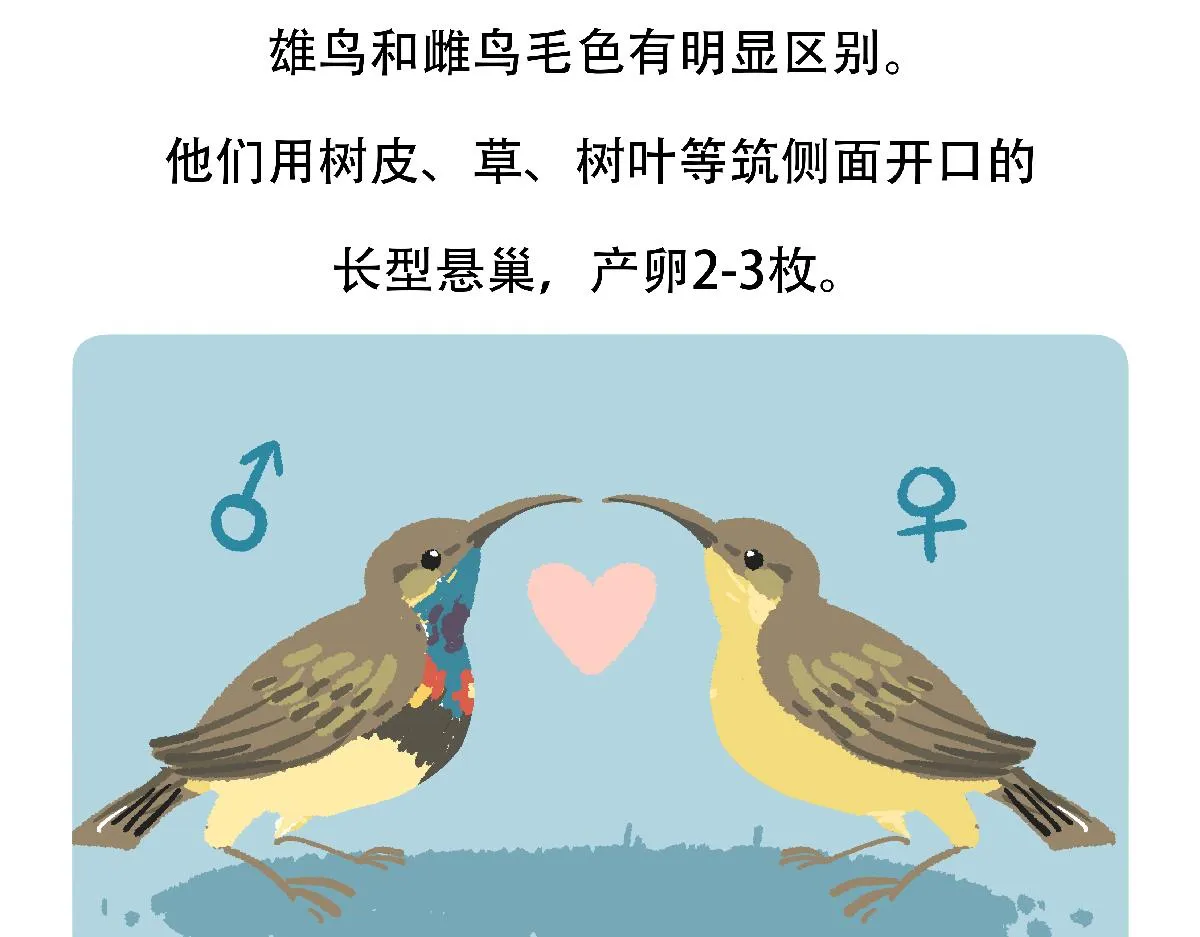 第126话 第31页