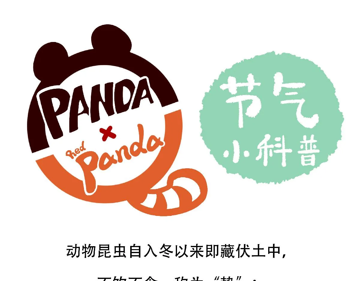 第127话 第20页