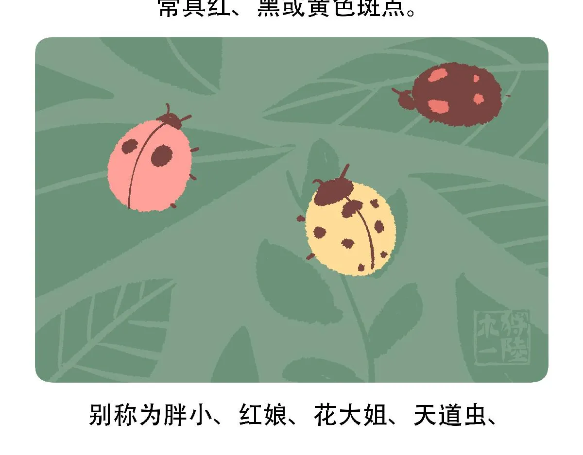 第127话 第28页