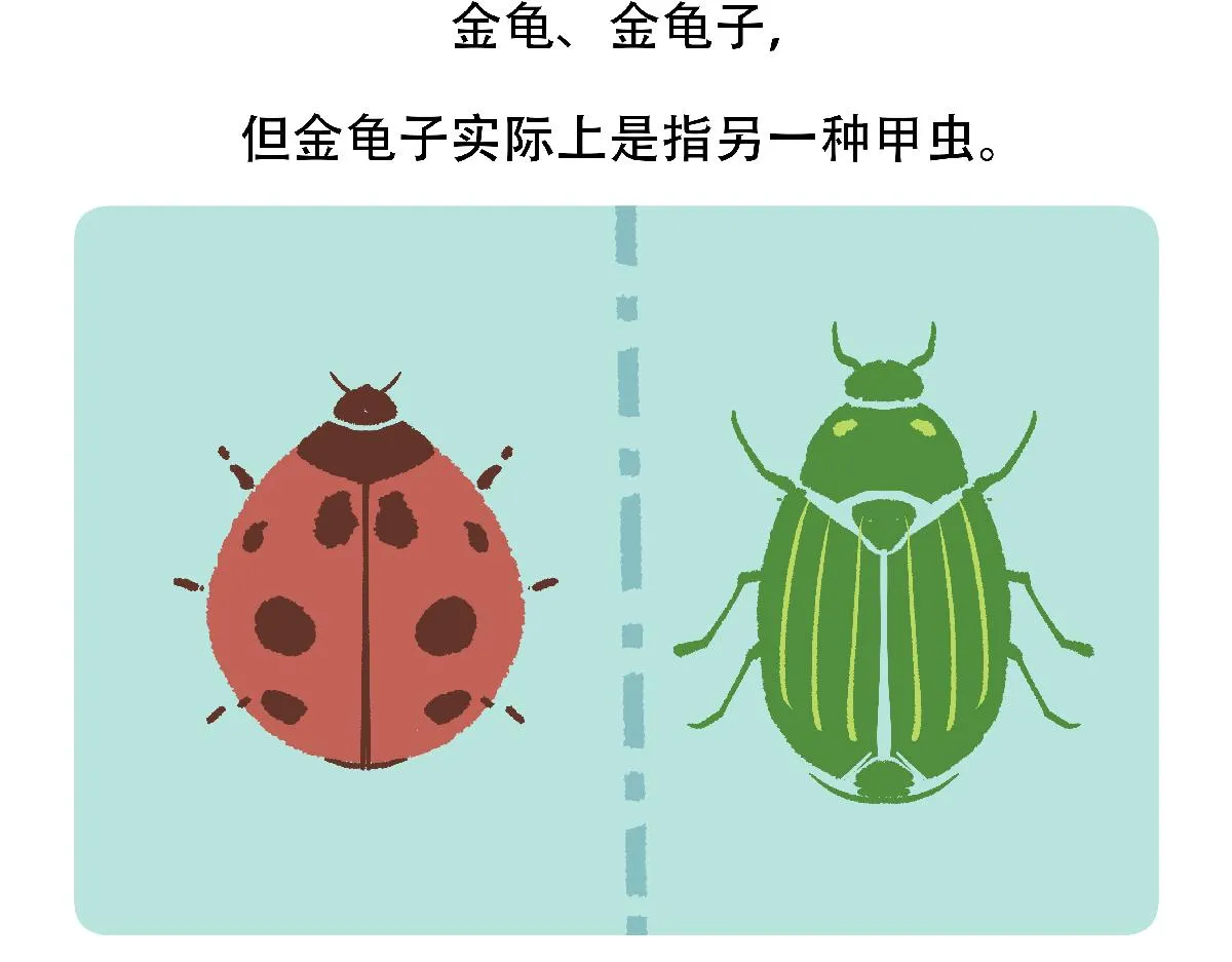 第127话 第29页