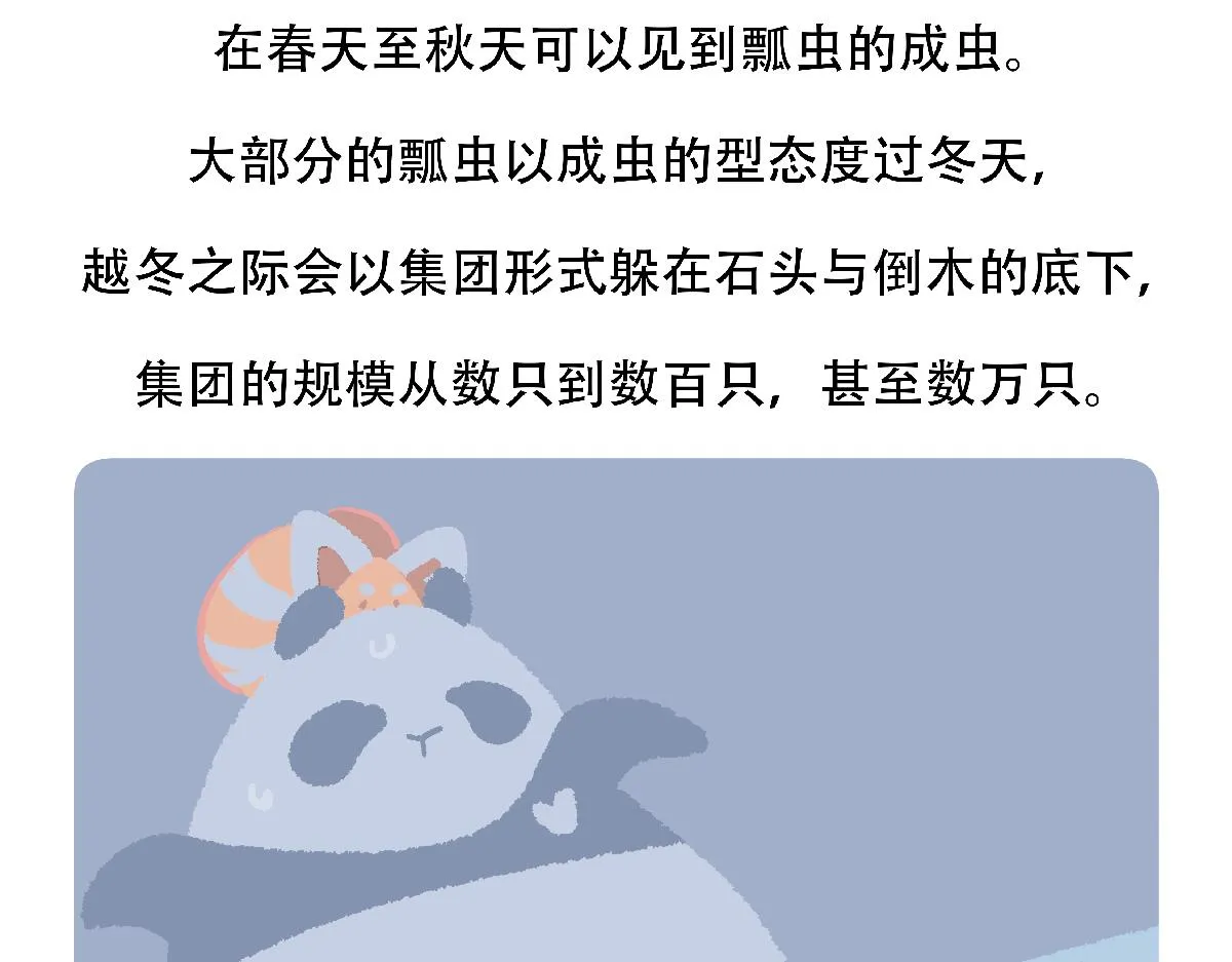 第127话 第31页