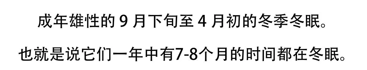 第128话 第22页