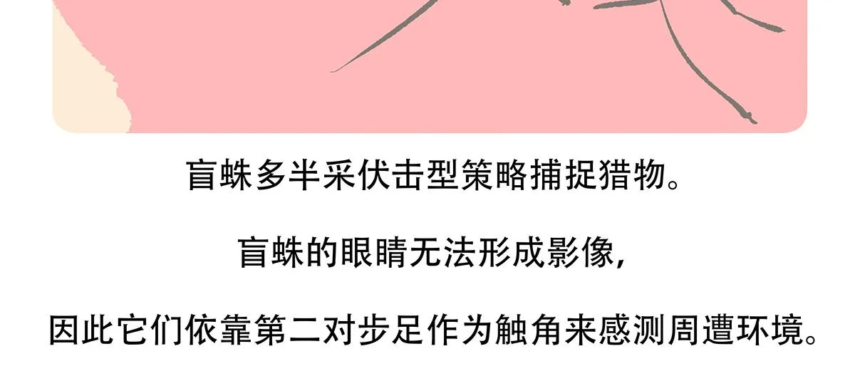 第129话 第22页