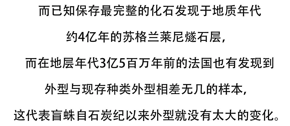 第130话 第22页