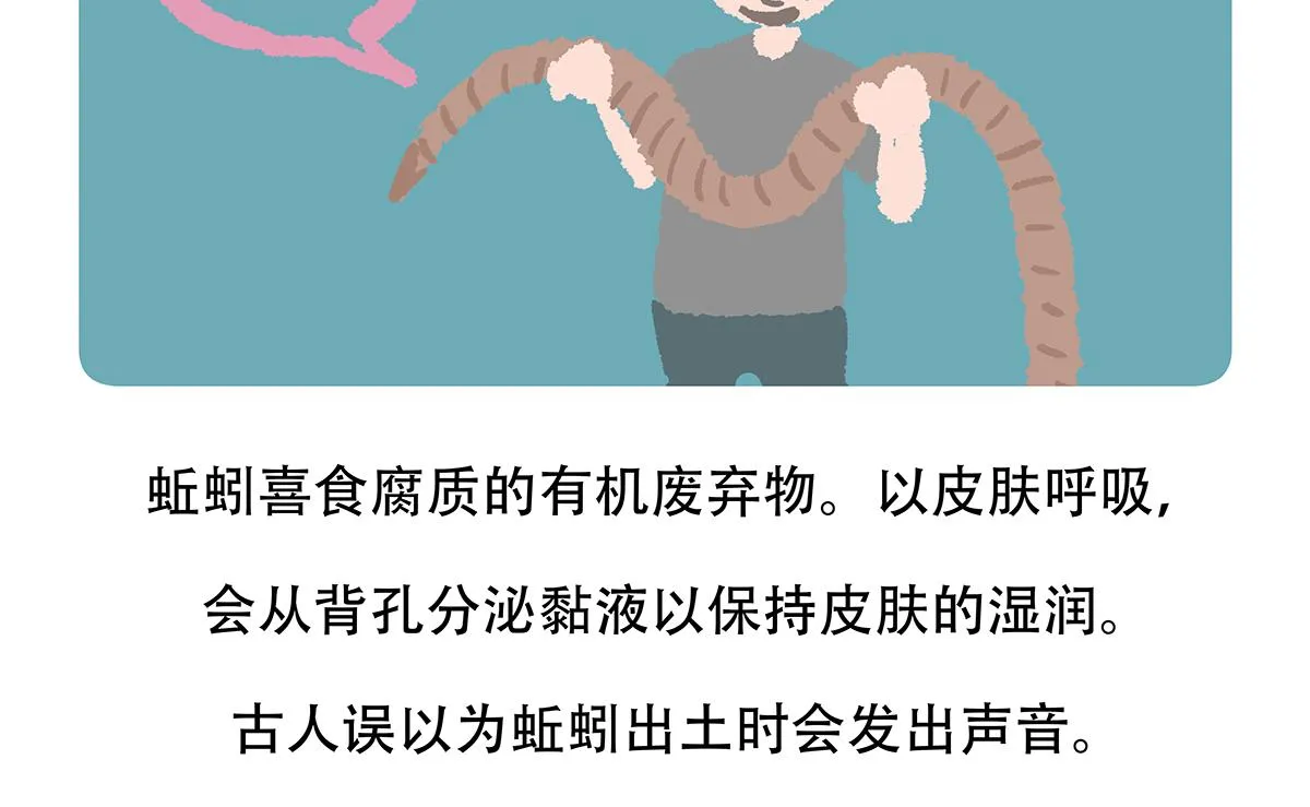 第131话 第22页
