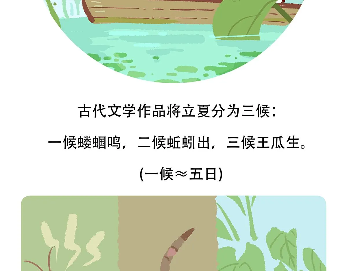 第131话 第28页