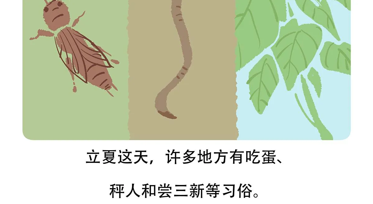 第131话 第29页