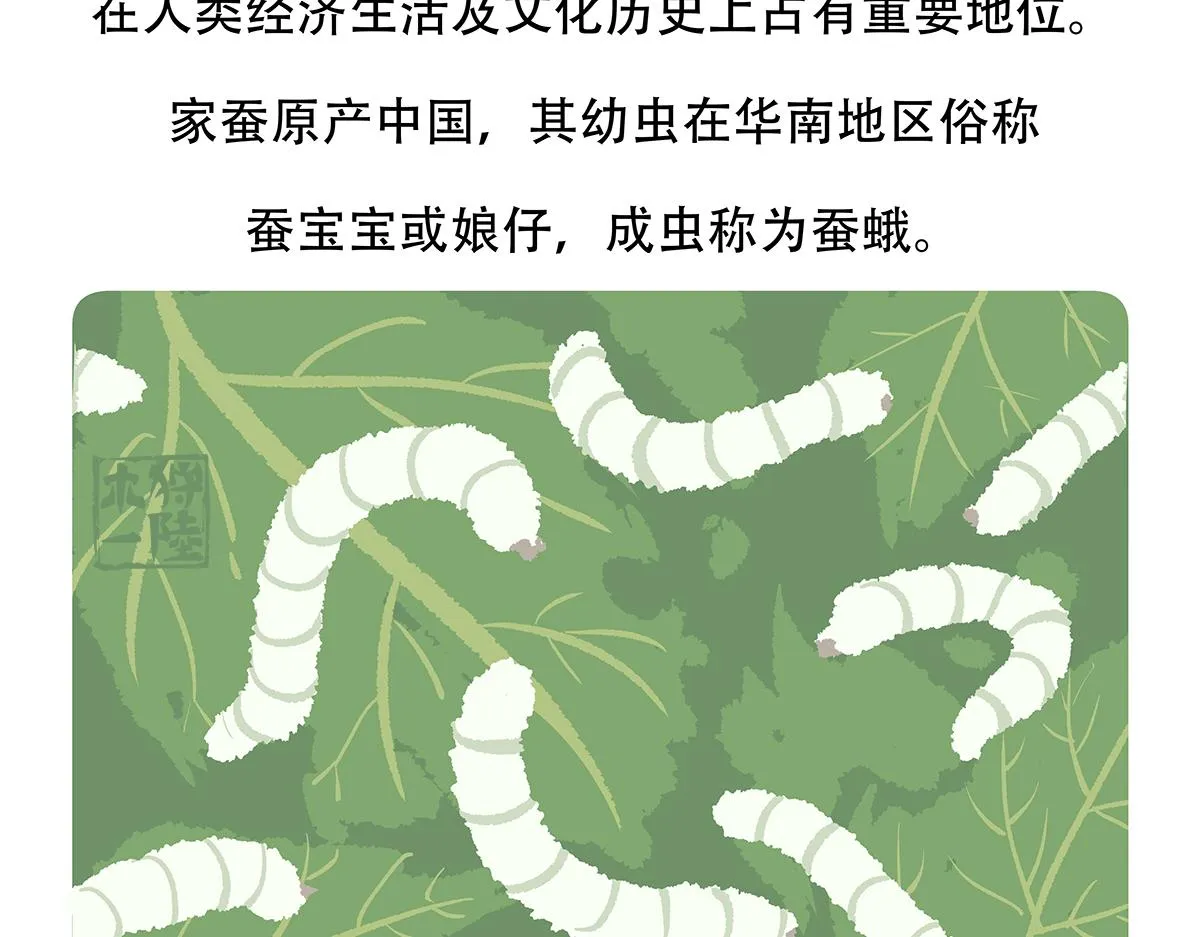 第132话 第22页