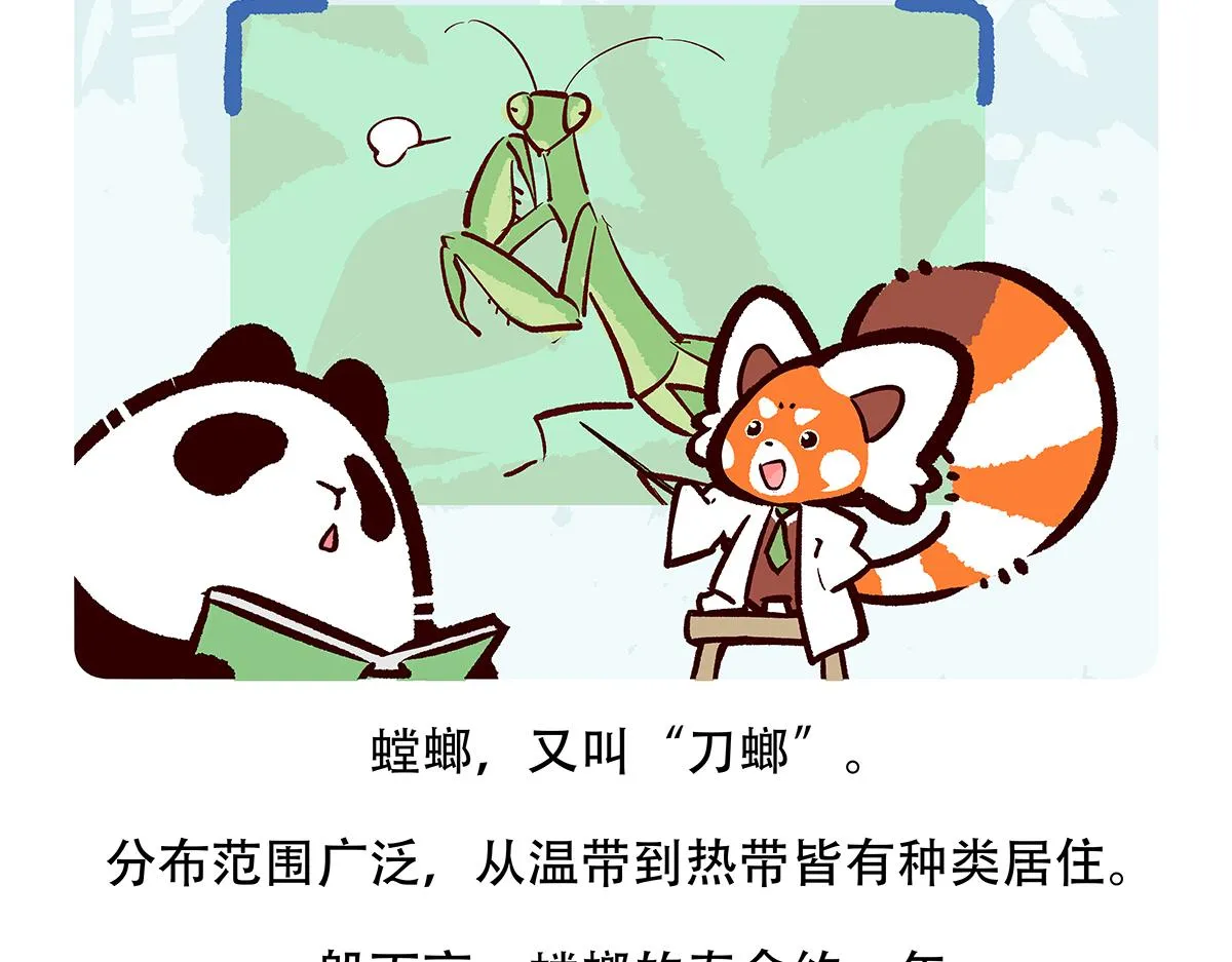 第133话 第20页