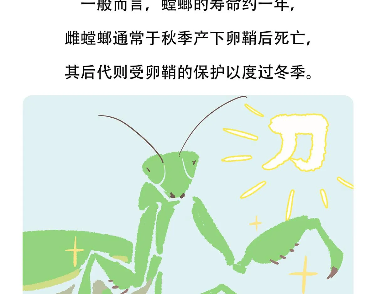第133话 第21页