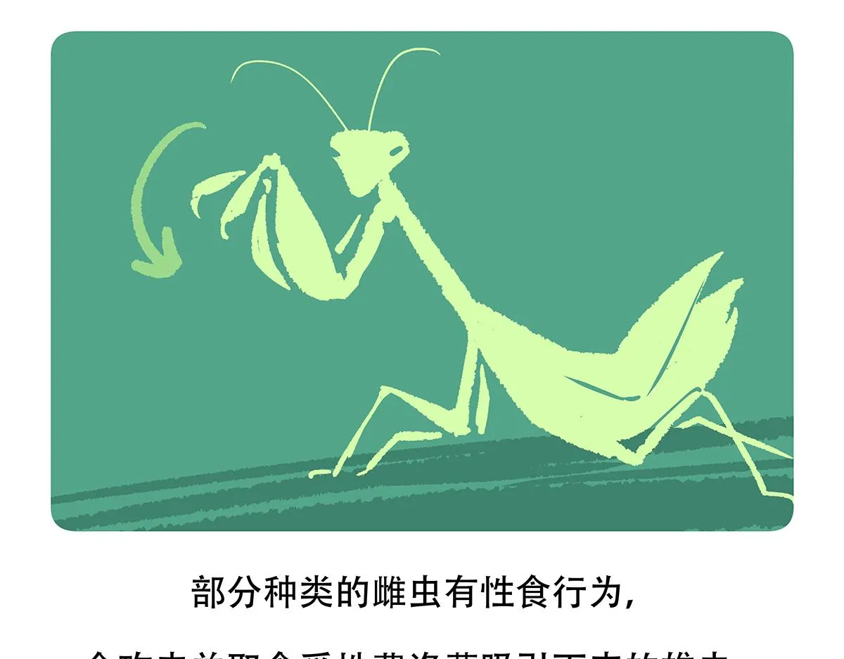 第133话 第23页